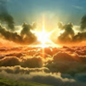 Meet your Posher, Tabi